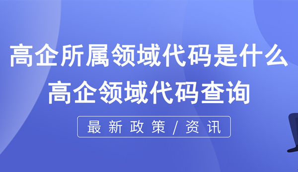 高企所屬領(lǐng)域代碼是什么？