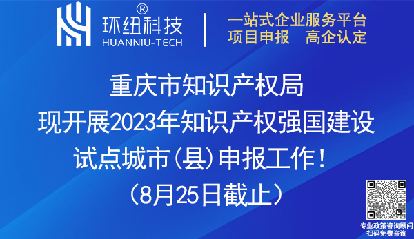 2023年知識產(chǎn)權(quán)強國建設(shè)試點城市縣申報